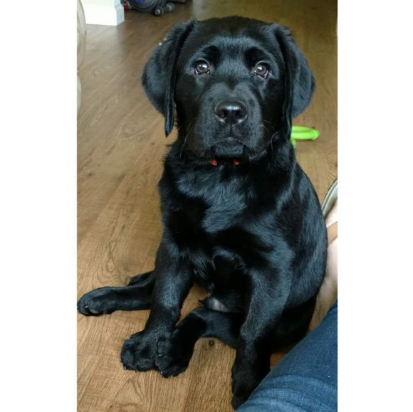 Meet Melissa - Picture 3 of 7